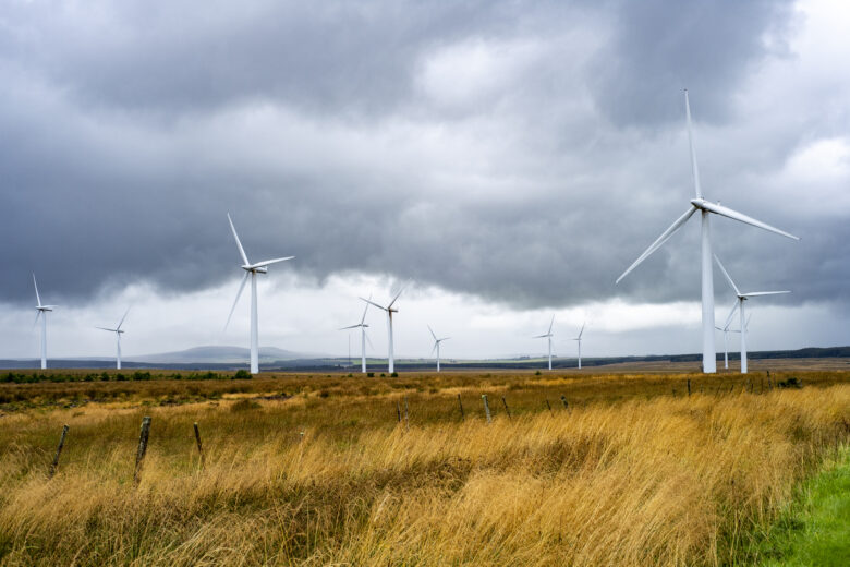 Causeymire WF Site Photo