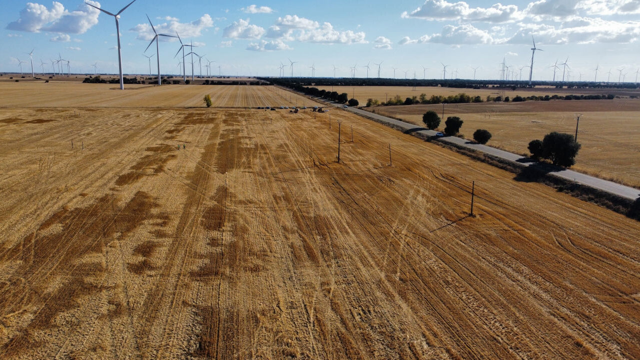 San Lorenzo D 1 1280