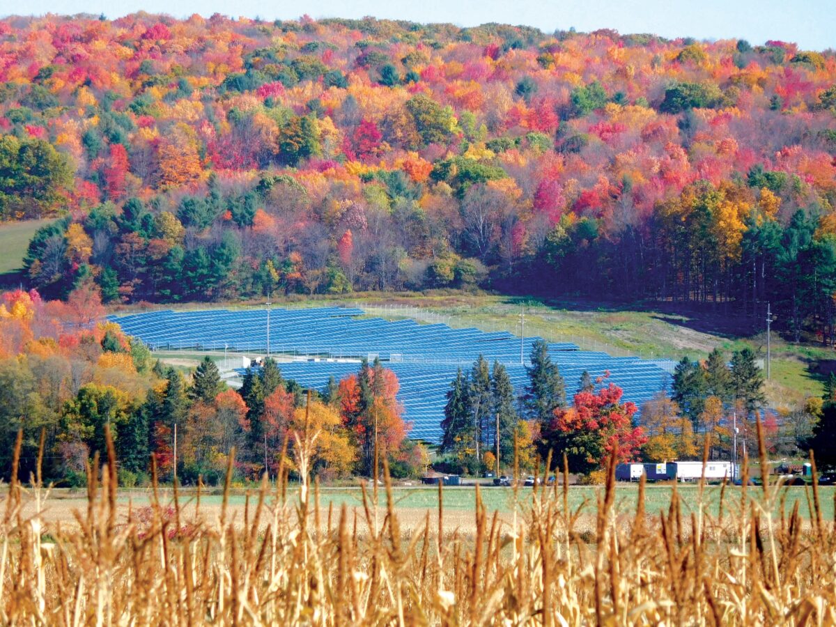 Photo of a solar farm on a hillside