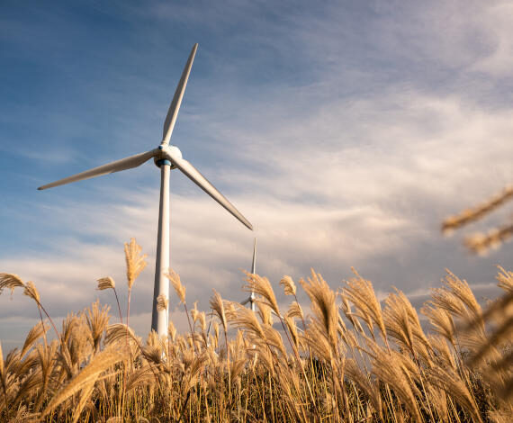 Shutterstock 1707775474 570 470