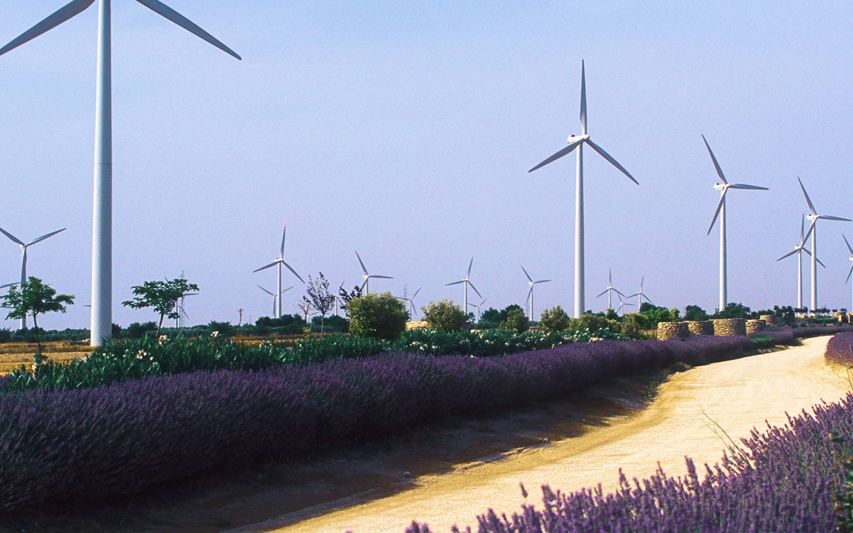 Onshore wind farm generating clean renewable energy in a sustainable landscape